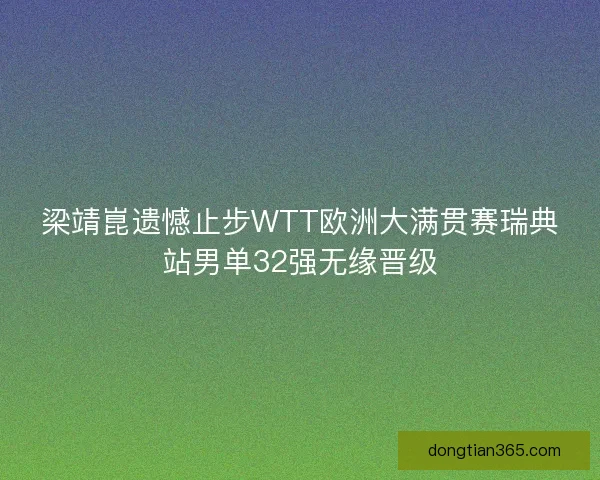 梁靖崑遗憾止步WTT欧洲大满贯赛瑞典站男单32强无缘晋级